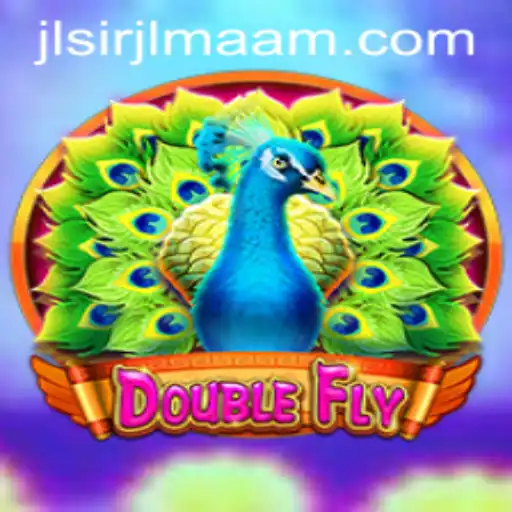 DoubleFly: A New Dimension in Gaming with Jlsir Jlmaam